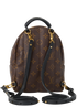 Mini Palm Spring Backpack, back view